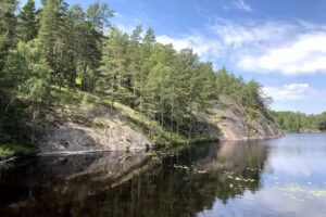 &Auml;llmora tr&auml;sk