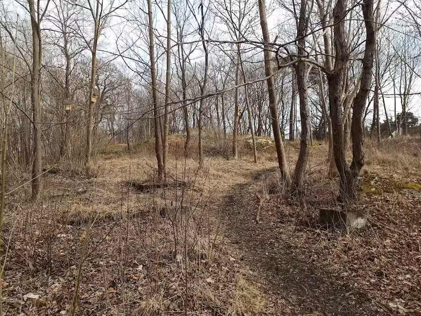 Lillsj&ouml;n&auml;s