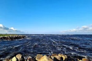 Nedra &Aring;leb&auml;ck