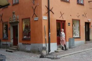 R&auml;ddningsplankan