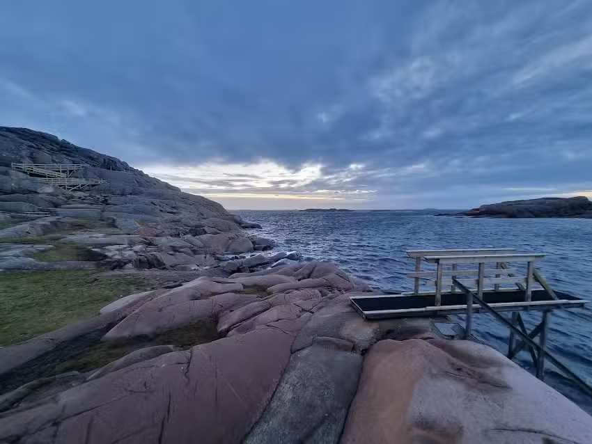 Rinken&auml;s