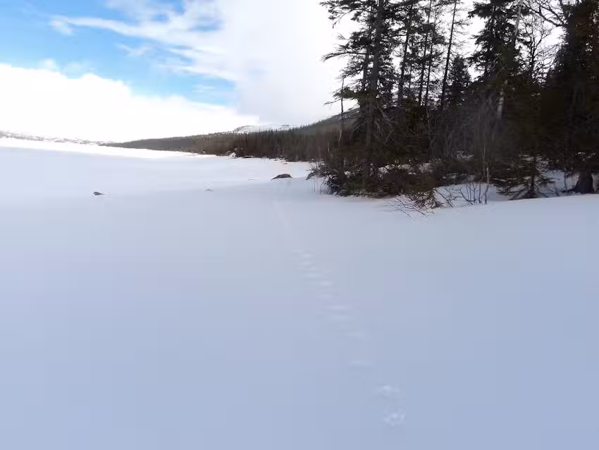 Stor-mj&ouml;lkvattnet