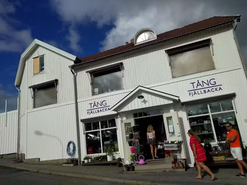 T&aring;ng Fj&auml;llbacka