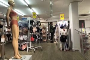 Twilfit by CHANGE Lingerie